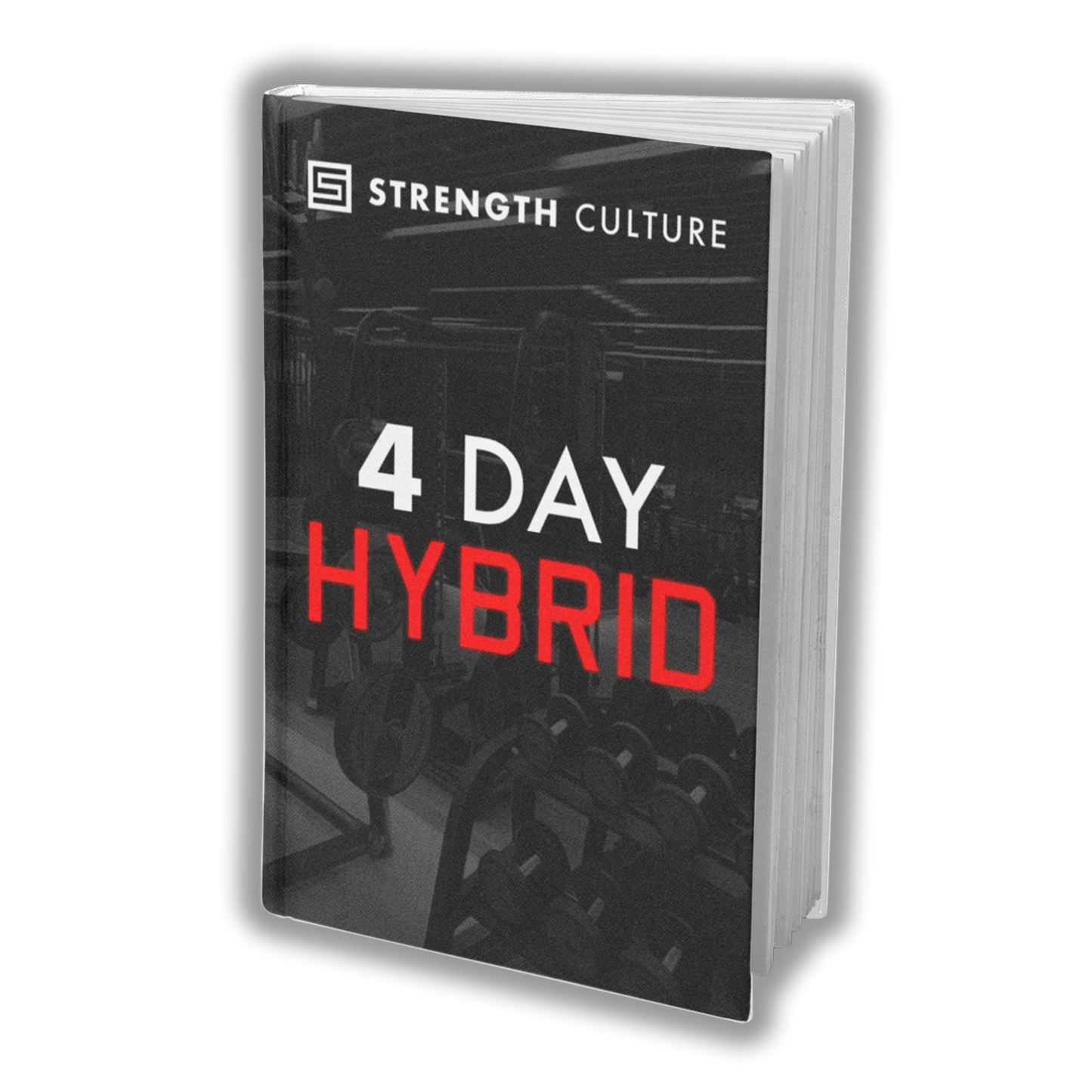 4 Day Hybrid Program